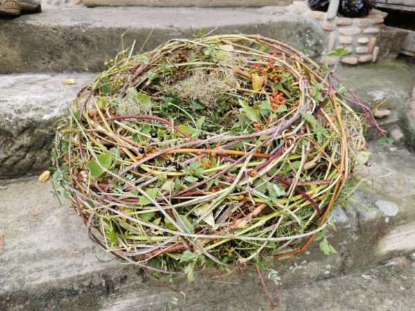 Seminar frühlingshaftes Osternest – Bild 9