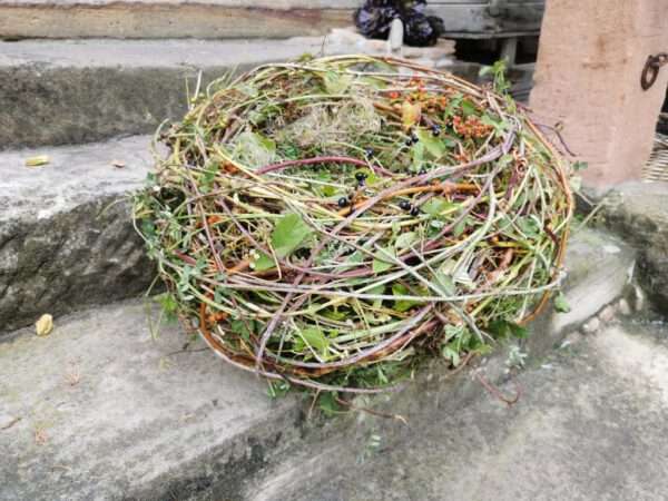 Seminar frühlingshaftes Osternest – Bild 7