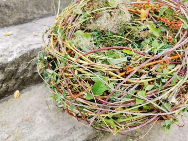 Seminar frühlingshaftes Osternest – Bild 6