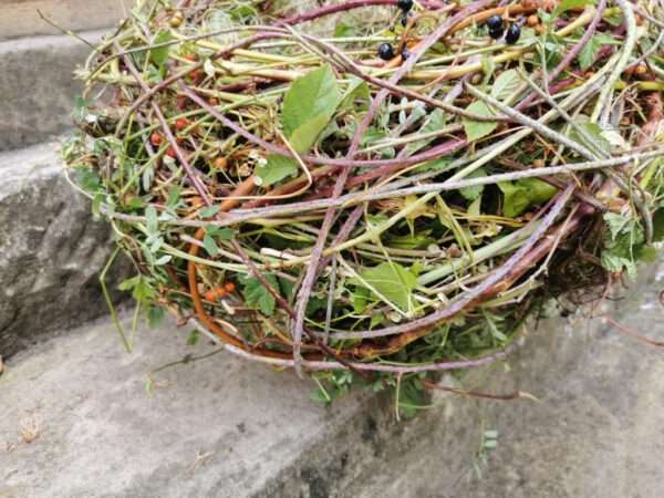 Seminar frühlingshaftes Osternest – Bild 5