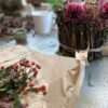 Seminar Weinrebenbündel mit Blumenfüllung – Bild 9
