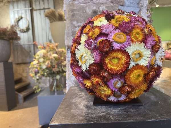 Strohblumenkugel – Bild 4