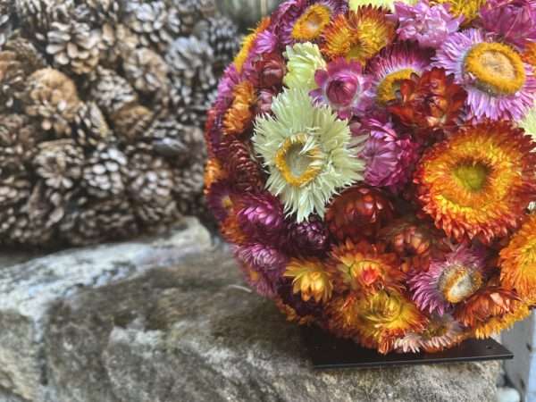 Strohblumenkugel – Bild 3