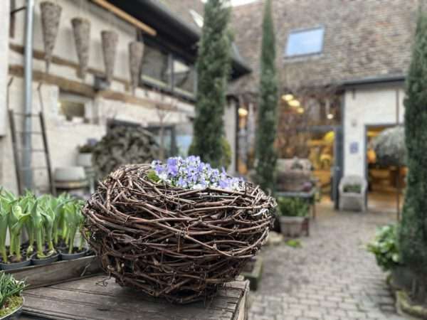 Weinrebenkorb – Bild 3