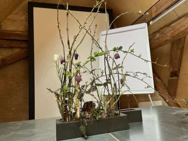 Seminar Vegetatives Werkstück – Bild 10