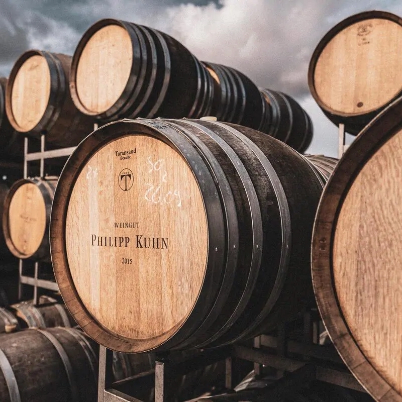 Seminar Weinreben-Workshop im Weingut Philipp Kuhn – Laumersheim – Bild 14