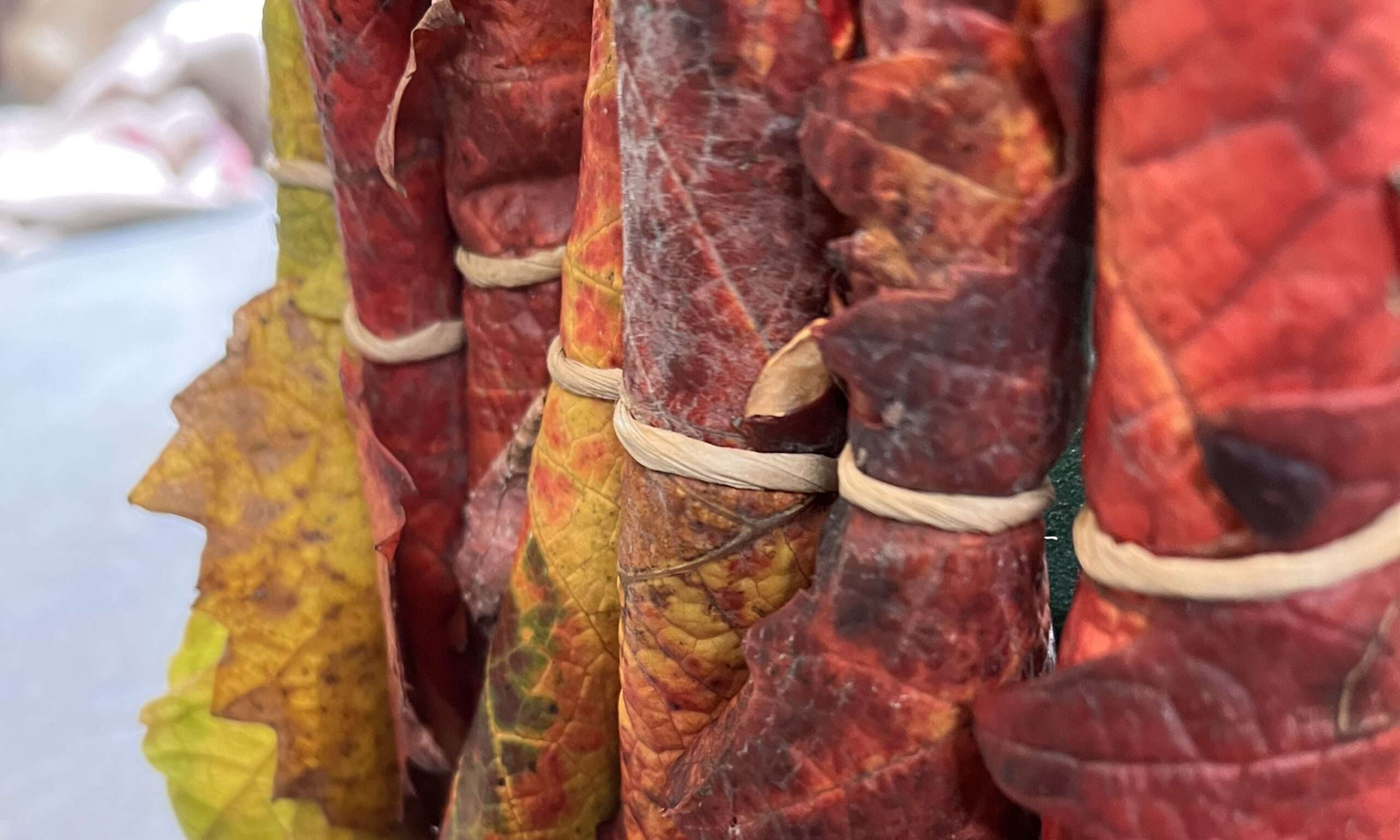 Weinlaub-Blätter Workshop im Weingut Bohnenstiel – Bild 6