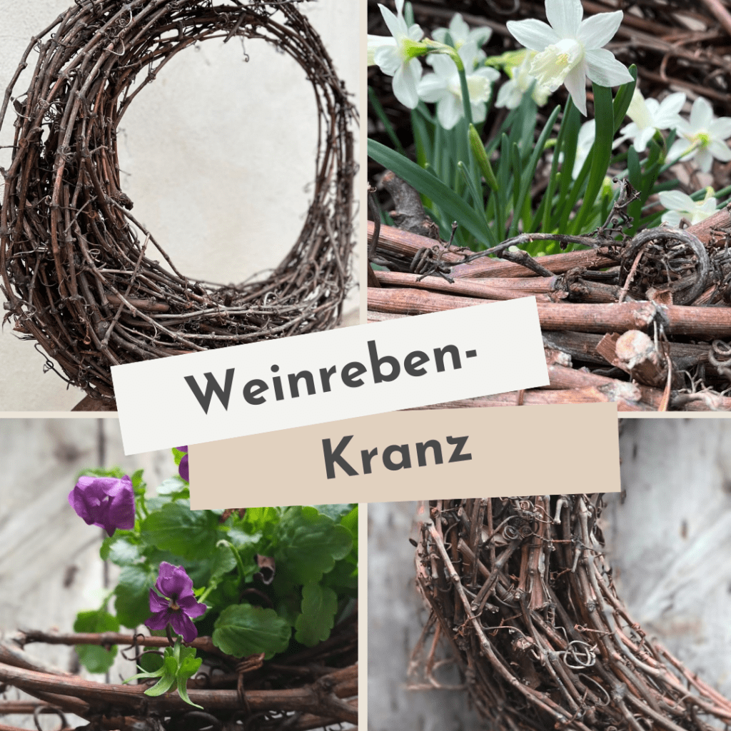 Weinrebenkranz